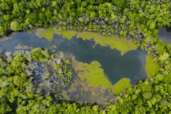 Como a Tecnologia Verde Está Transformando a Sustentabilidade Climática