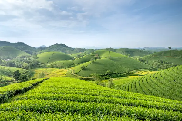 Como as Tecnologias de Agricultura Sustentável Podem Salvar o Planeta